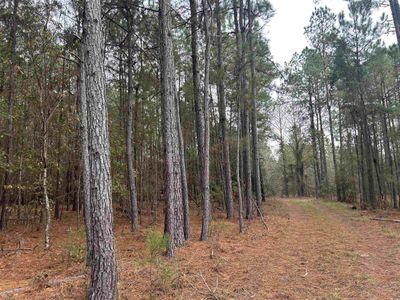 TBD Highway 746 , Loris, SC 29569