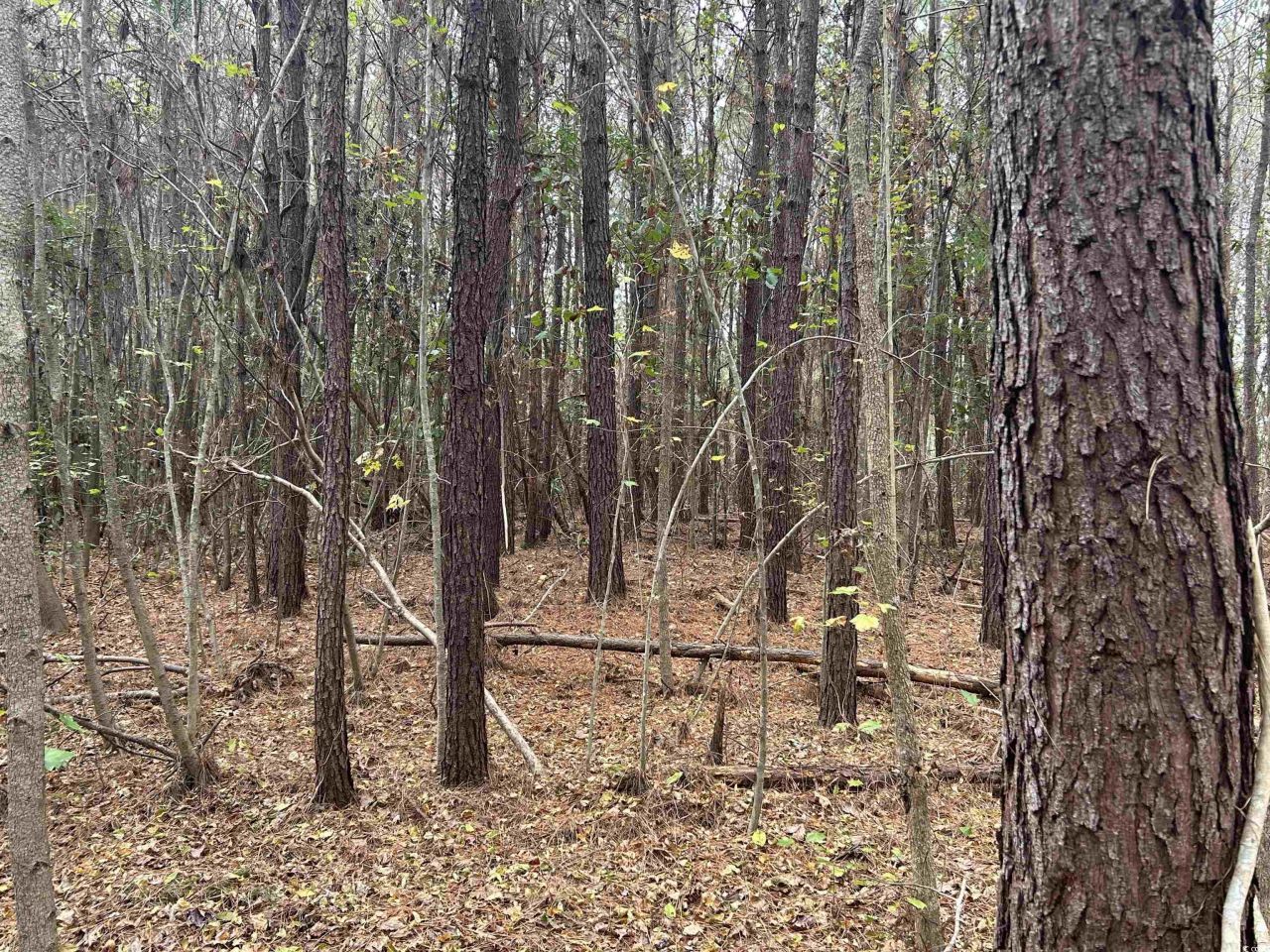 Tbd Highway 746  Photo 11