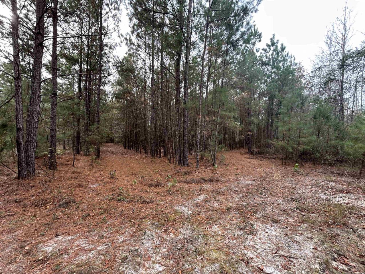 Tbd Highway 746  Photo 17