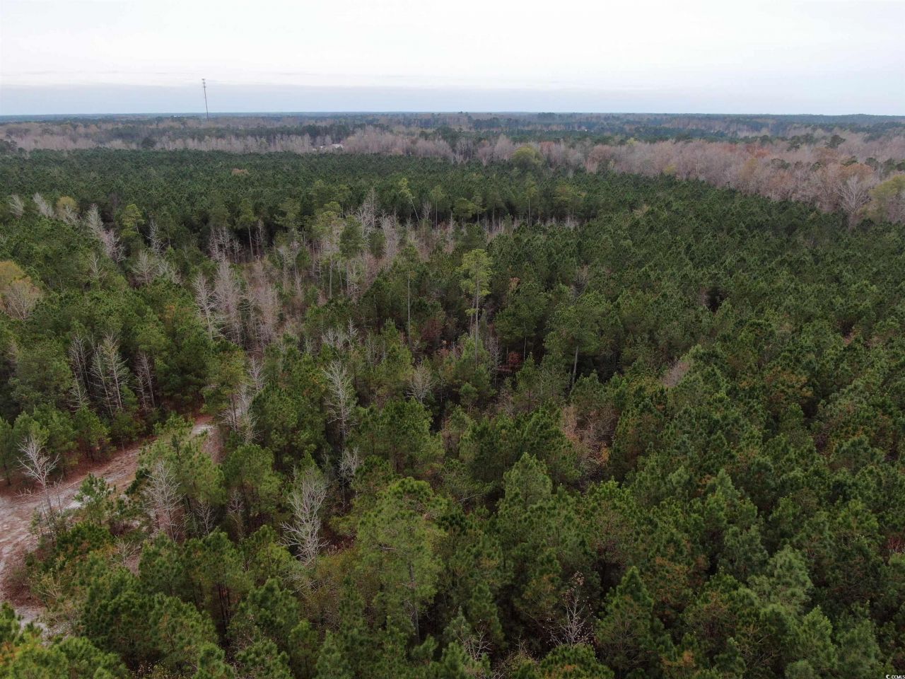 Tbd Highway 746  Photo 8