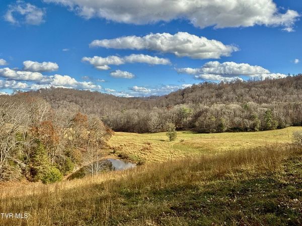 1520 Brittontown Road, Afton, TN 37616