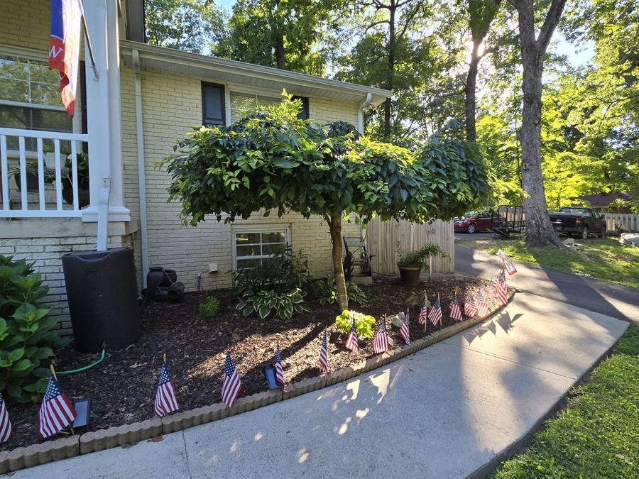 Property Image 56
