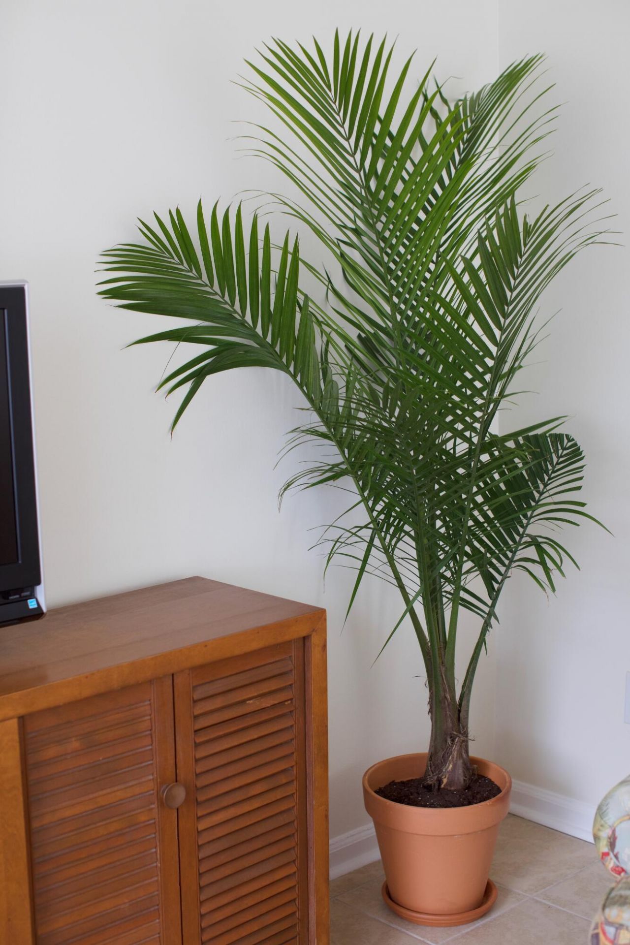 637 Baytree Court Photo 10