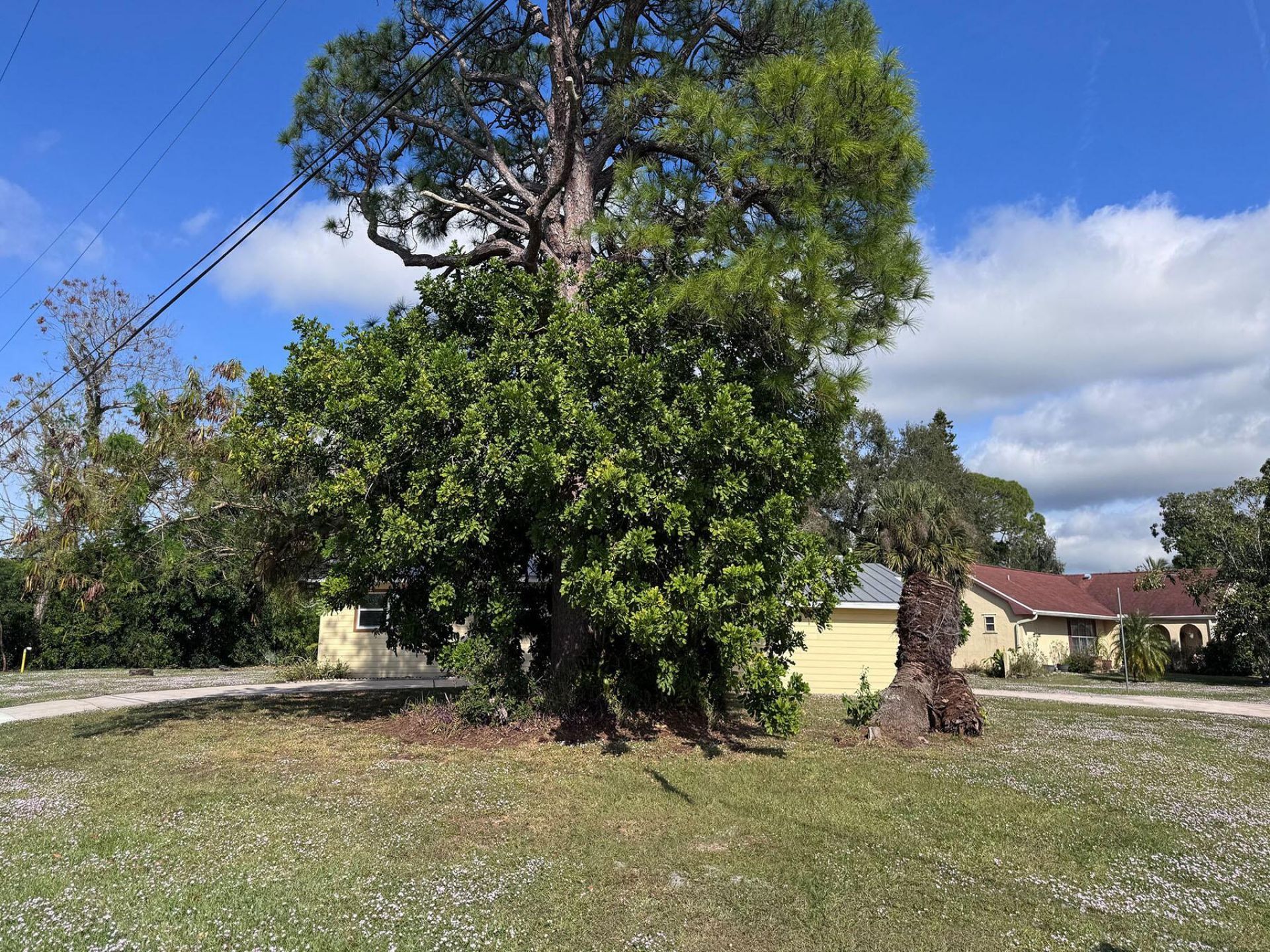 401 SE Tranquilla Avenue, Port Saint Lucie, FL 34983 Photo