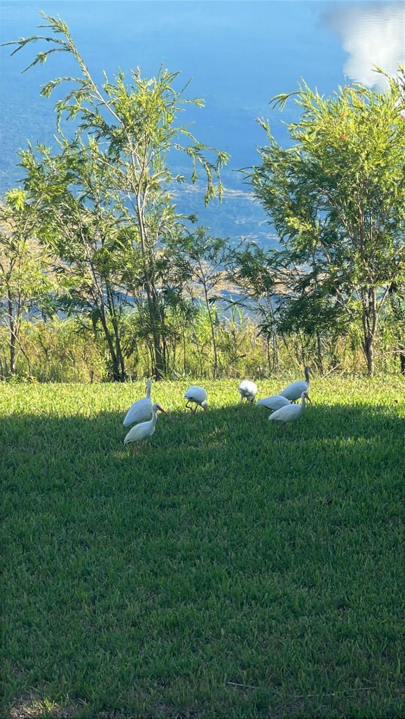 3405 NW 44th Street, Unit 205, Lauderdale Lakes, FL 33309 Photo