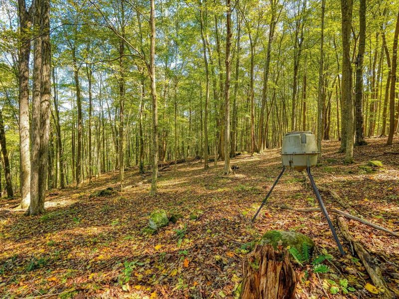 25140 Shurtz Road, New Plymouth, OH 45654 Photo 38