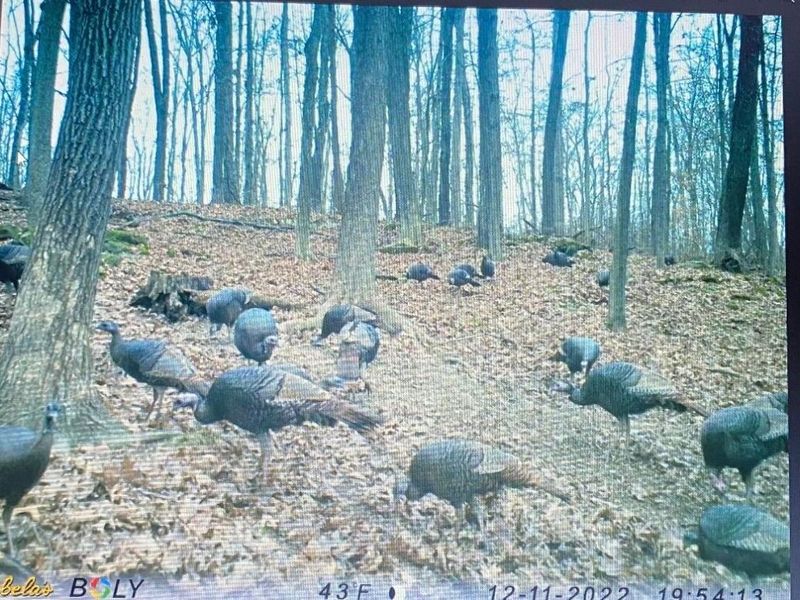 25140 Shurtz Road, New Plymouth, OH 45654 Photo 39