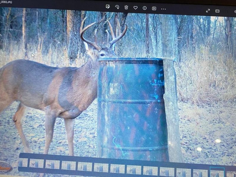 25140 Shurtz Road, New Plymouth, OH 45654 Photo 40