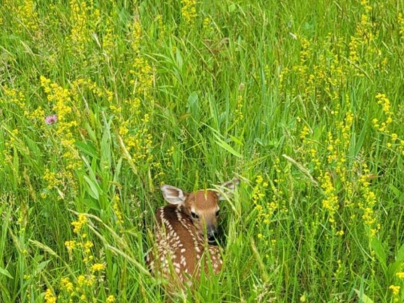 25140 Shurtz Road, New Plymouth, OH 45654 Photo 41