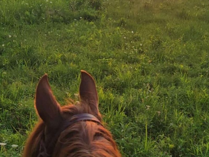 25140 Shurtz Road, New Plymouth, OH 45654 Photo 47