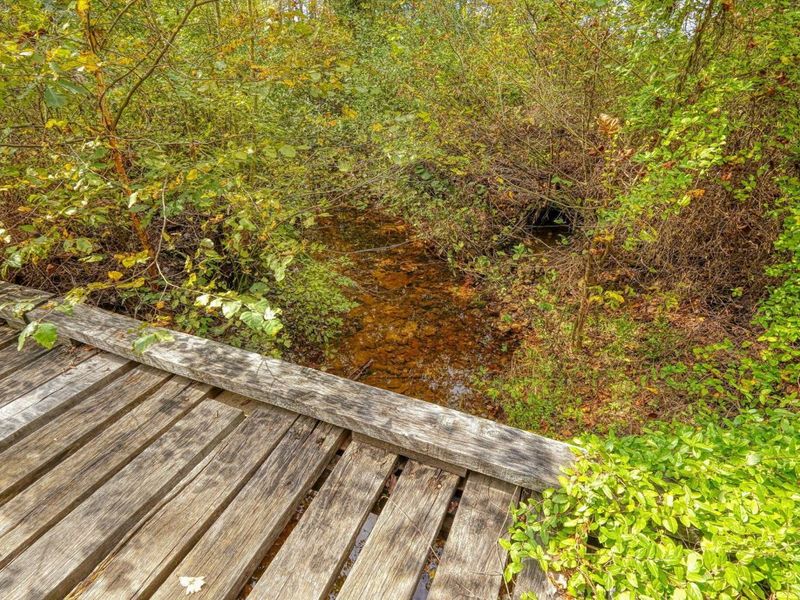 25140 Shurtz Road, New Plymouth, OH 45654 Photo 48