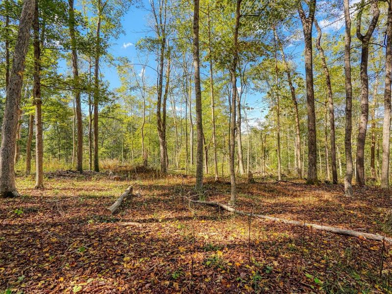 25140 Shurtz Road, New Plymouth, OH 45654 Photo 49