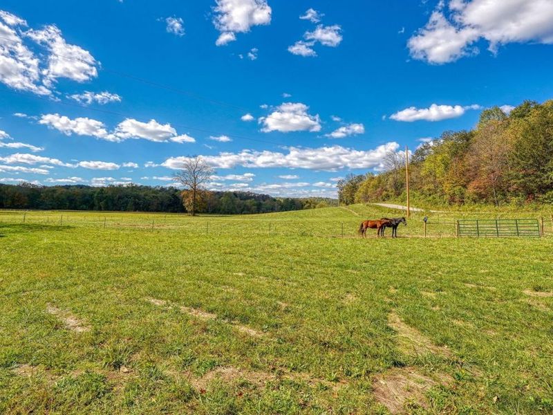 25140 Shurtz Road, New Plymouth, OH 45654 Photo 5