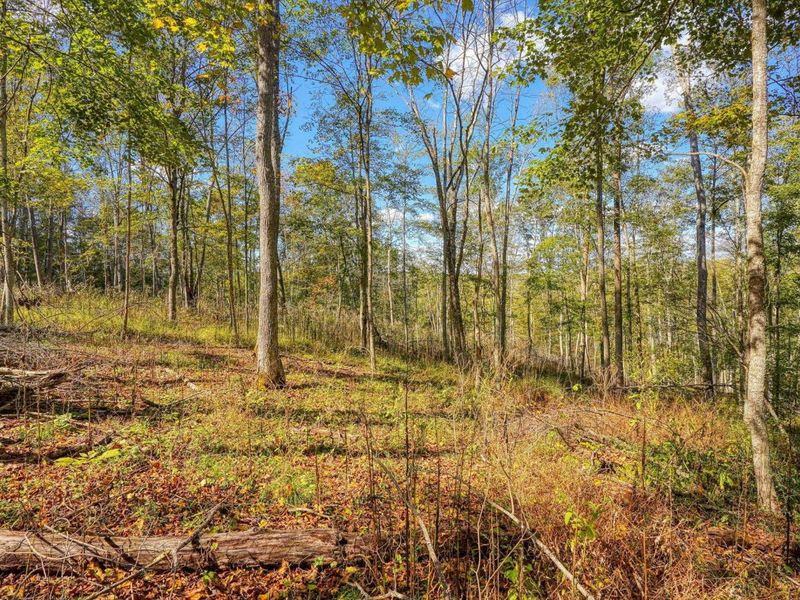 25140 Shurtz Road, New Plymouth, OH 45654 Photo 51