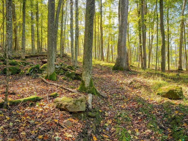 25140 Shurtz Road, New Plymouth, OH 45654 Photo 6