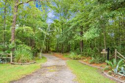 427 Grape Arbor Drive photo 4