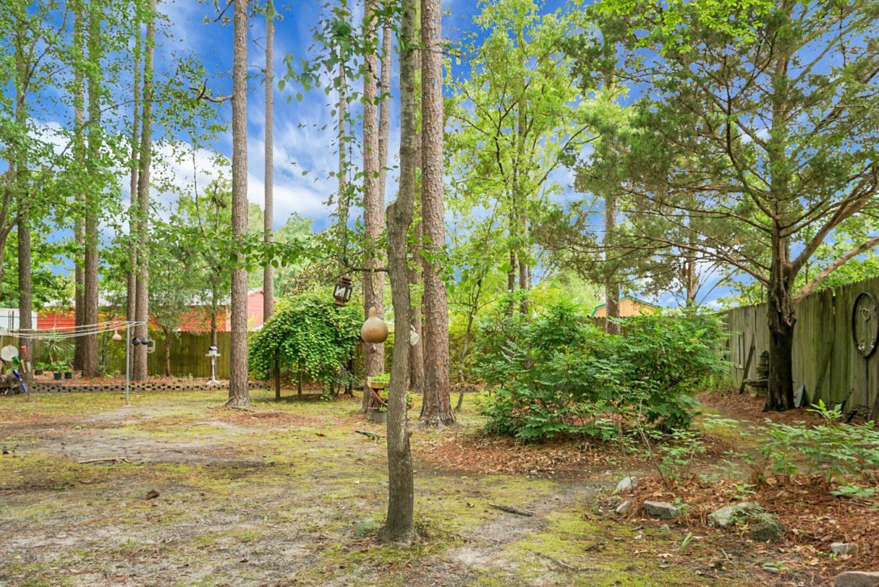 427 Grape Arbor Drive Photo 51