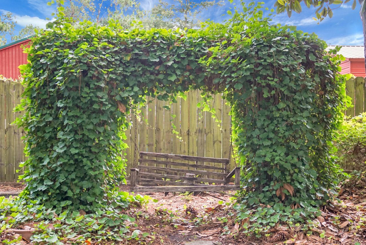 427 Grape Arbor Drive Photo 57