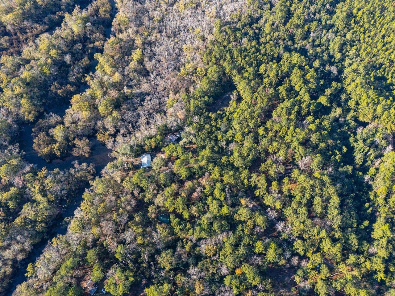 22 Berry Road, Sopchoppy, FL 32358 Photo