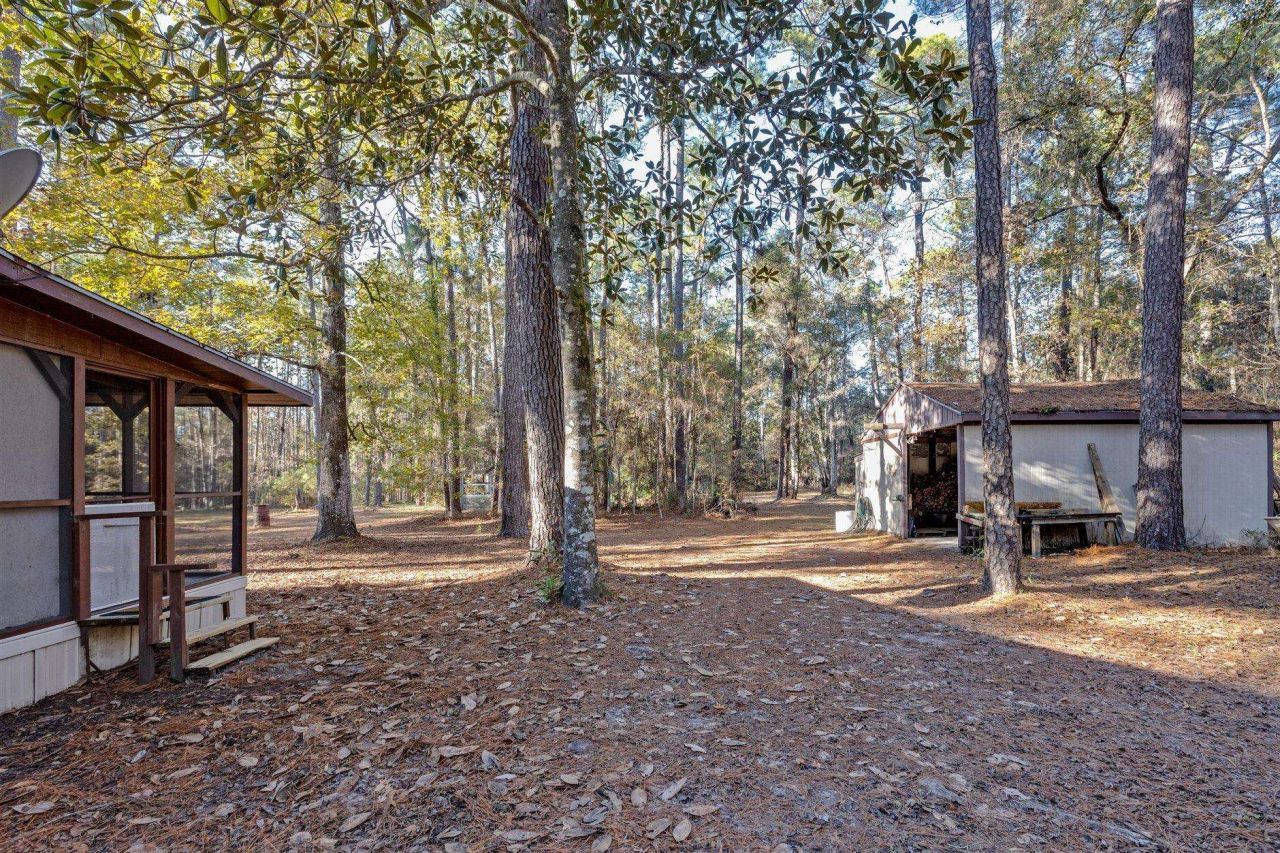 22 Berry Road, Sopchoppy, FL 32358 Photo