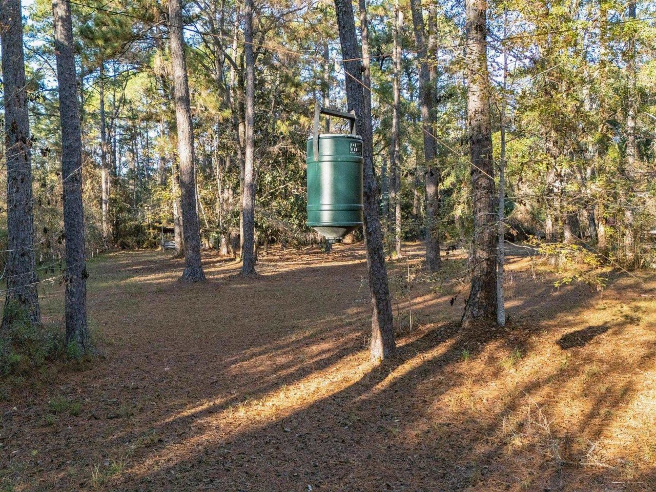 22 Berry Road, Sopchoppy, FL 32358 Photo