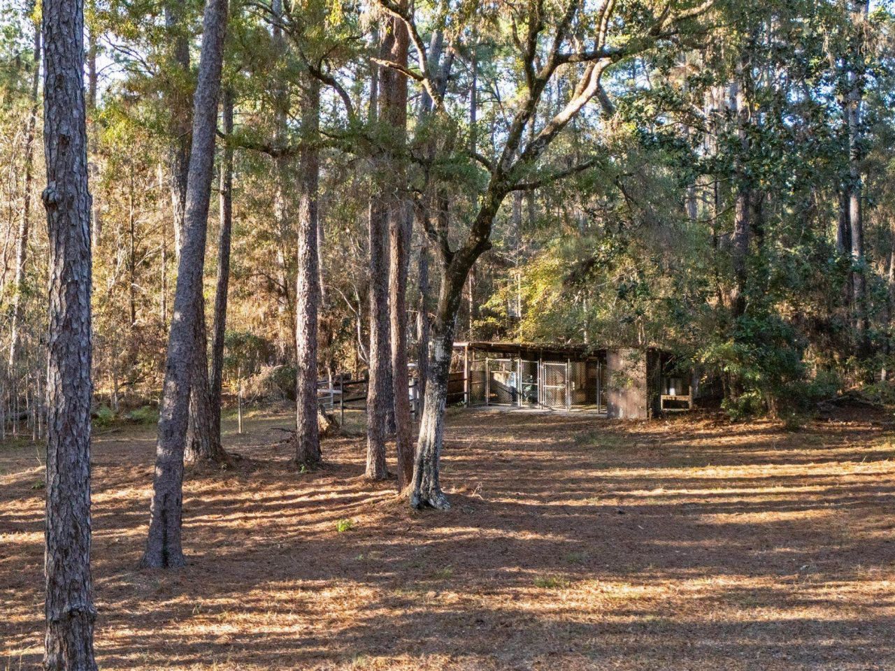 22 Berry Road, Sopchoppy, FL 32358 Photo