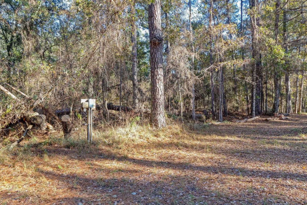 22 Berry Road, Sopchoppy, FL 32358 Photo