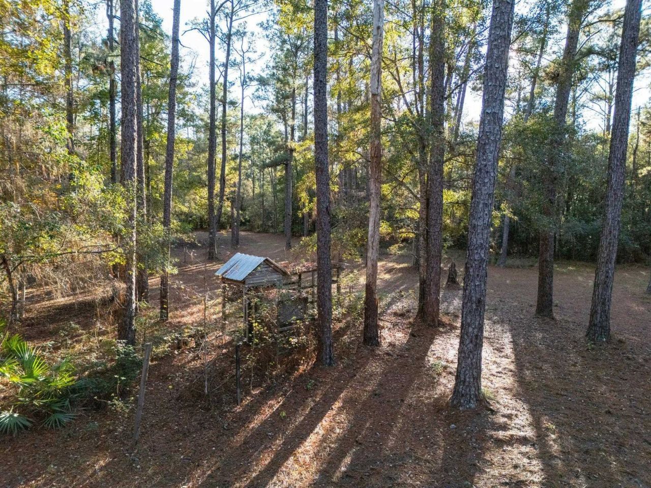 22 Berry Road, Sopchoppy, FL 32358 Photo