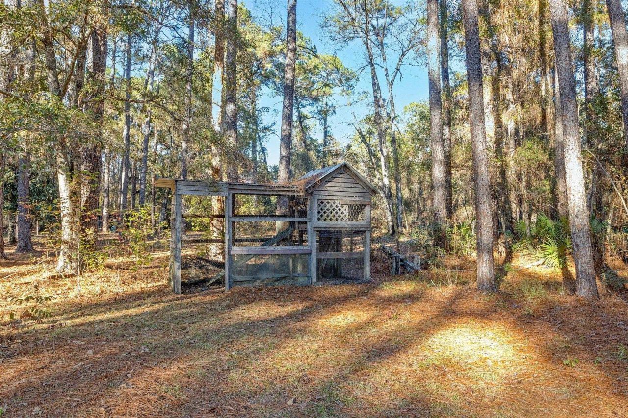 22 Berry Road, Sopchoppy, FL 32358 Photo