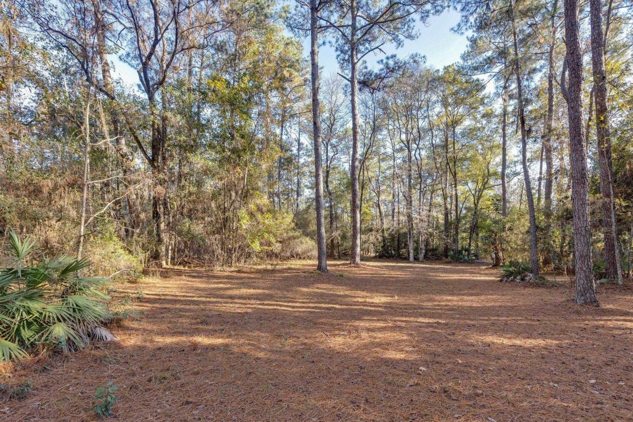 22 Berry Road, Sopchoppy, FL 32358 Photo