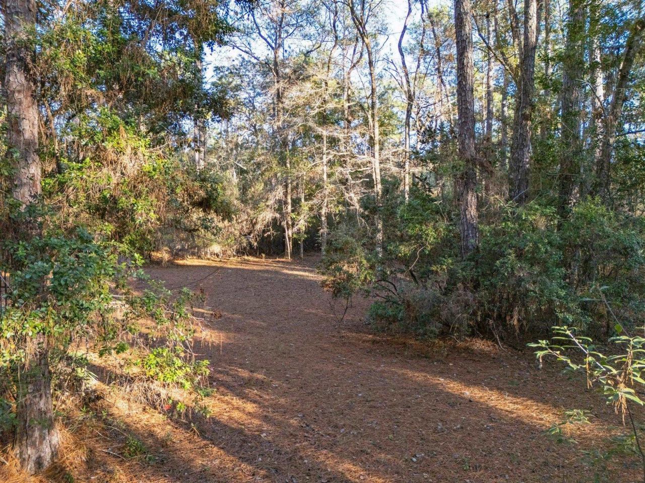 22 Berry Road, Sopchoppy, FL 32358 Photo