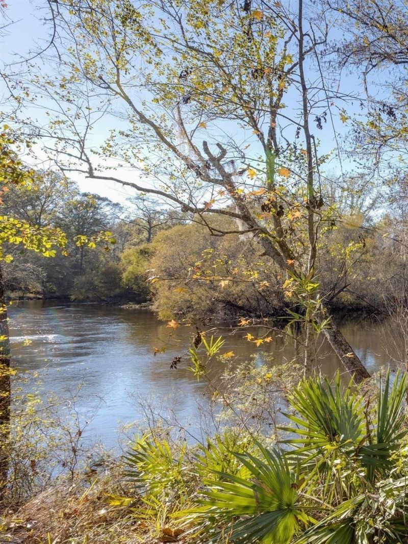 22 Berry Road, Sopchoppy, FL 32358 Photo