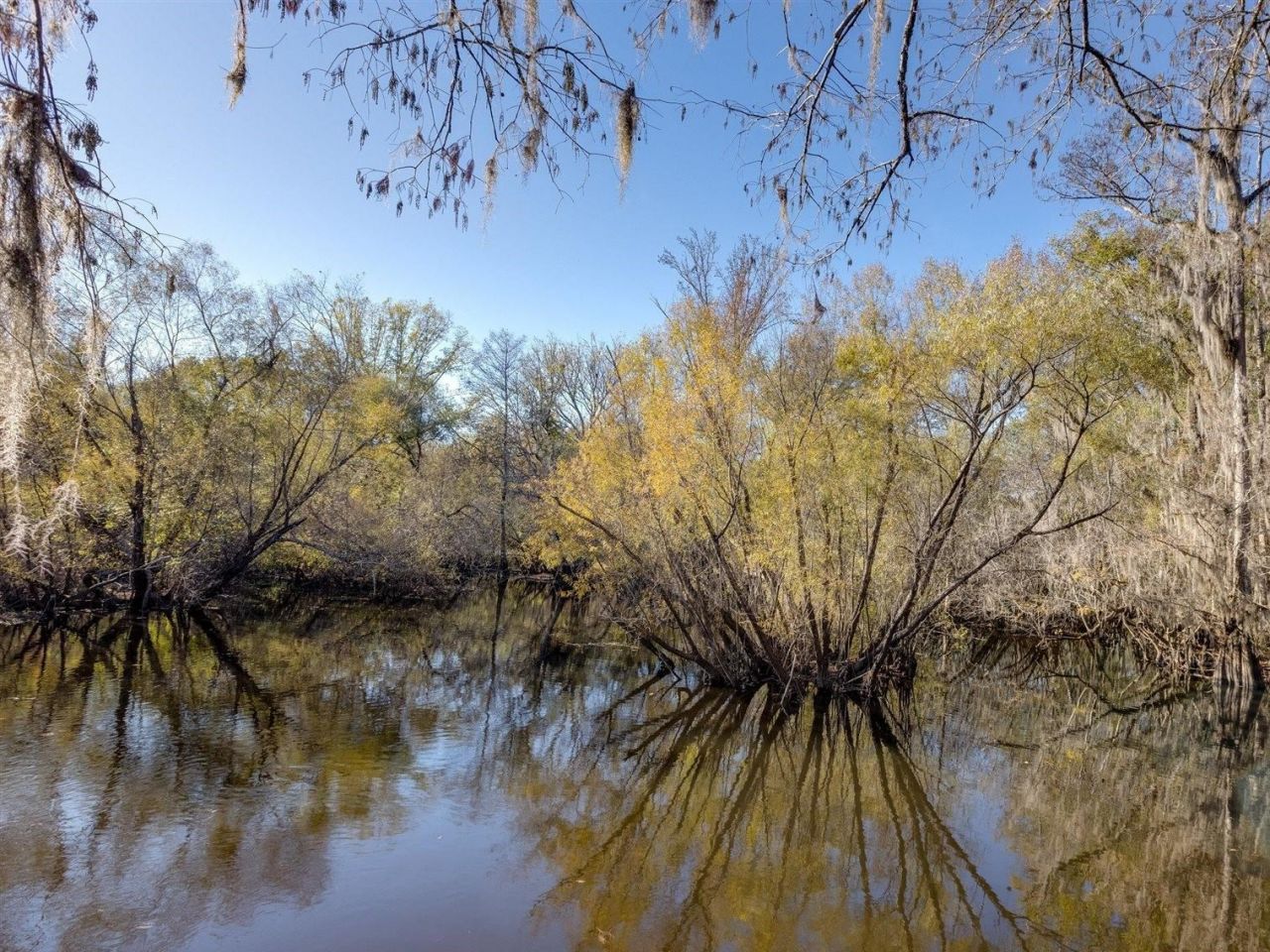 22 Berry Road, Sopchoppy, FL 32358 Photo