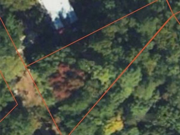 2916 Mount Clair Road , Chester, VA 23831