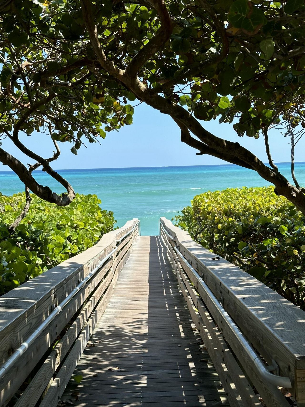 1300 S A1a 209, Jupiter, FL 33477 Photo