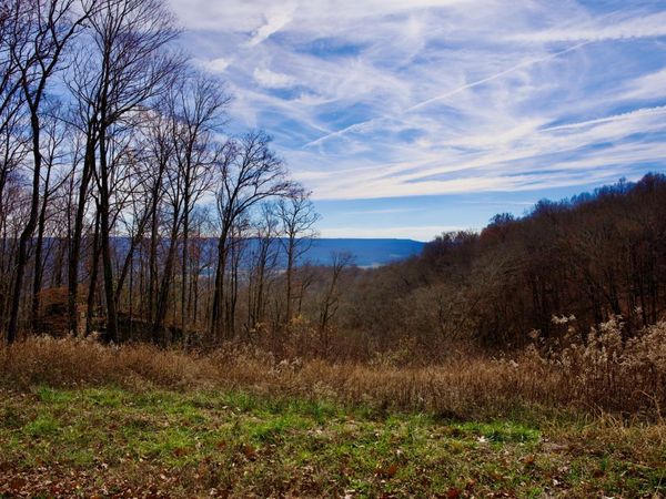 323A White Oak Flatt Rd , Sparta, TN 38583