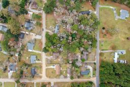 135 Kitfield Road photo 4