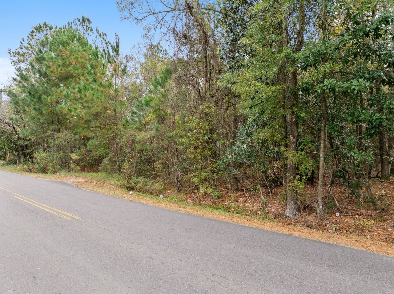 135 Kitfield Road Photo 6