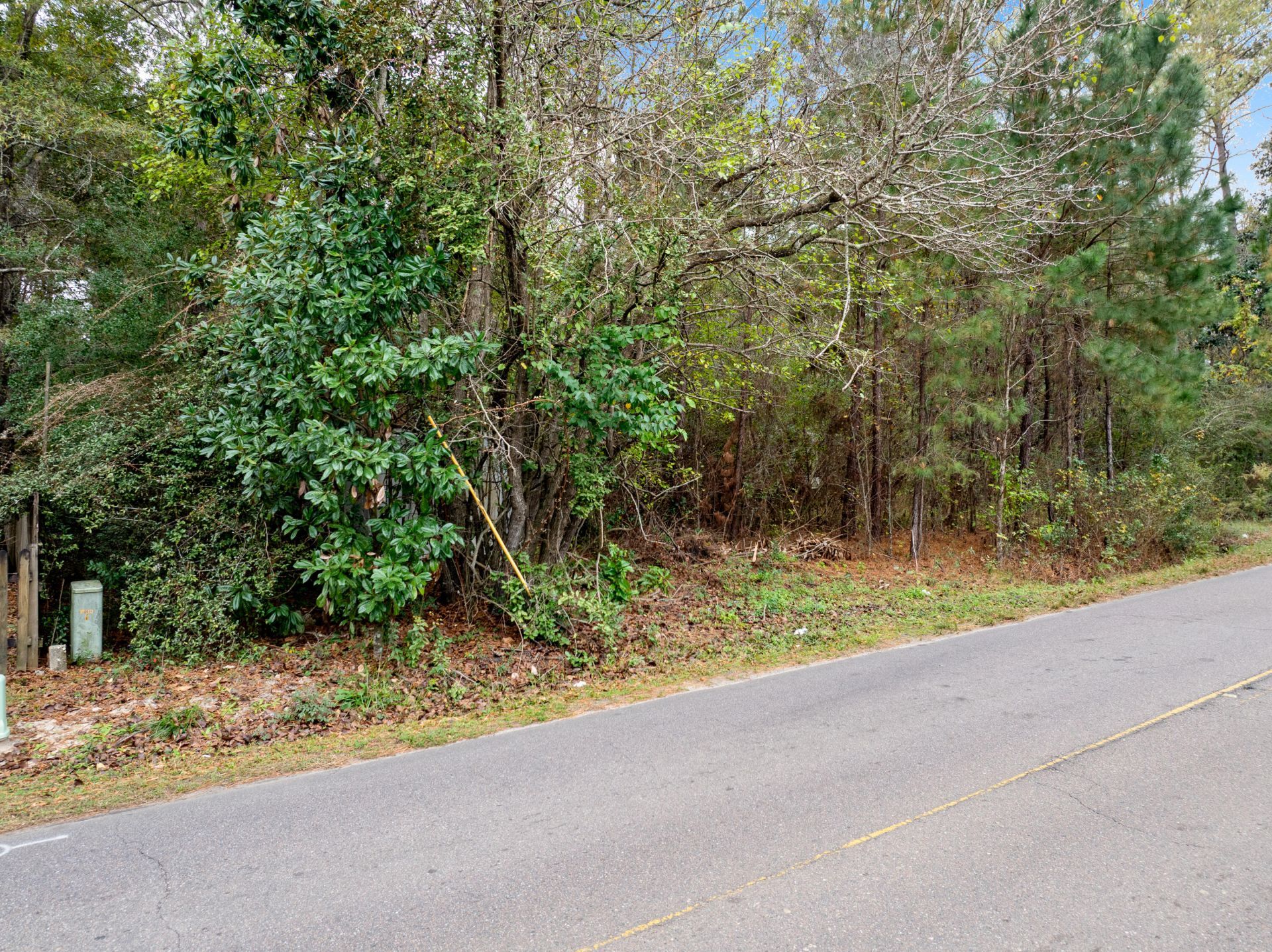 135 Kitfield Road Photo 9