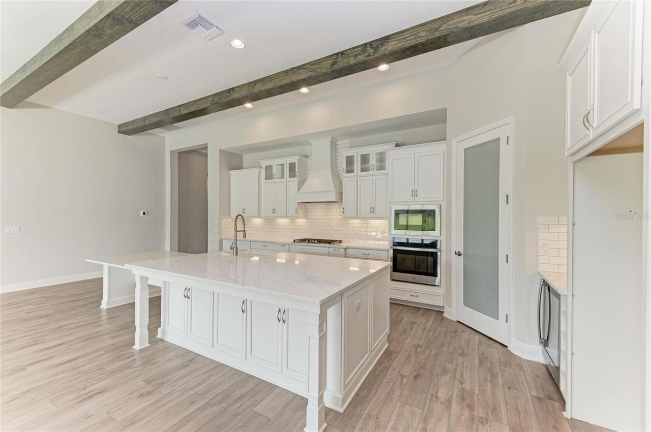 10073 Meadowrun Drive, Lithia, FL 33547 Photo