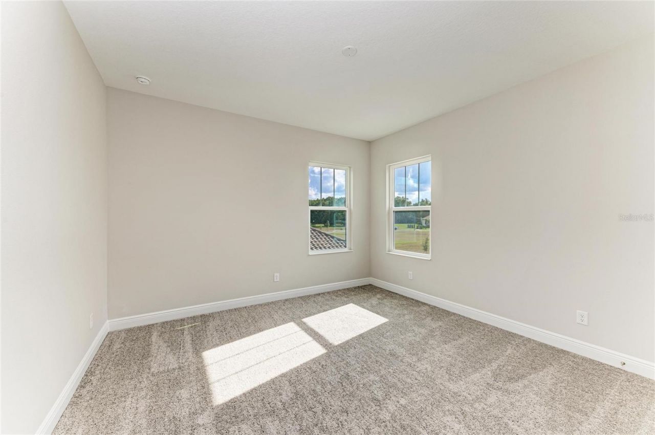 10073 Meadowrun Drive, Lithia, FL 33547 Photo