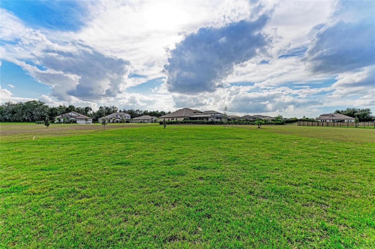 10073 Meadowrun Drive, Lithia, FL 33547 Photo
