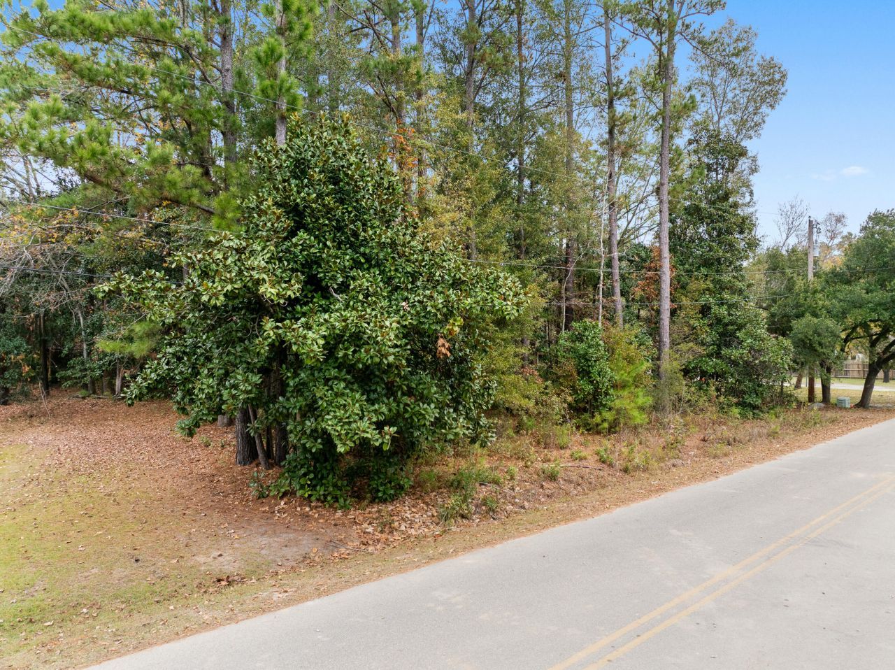 521 Hill Street Photo 4