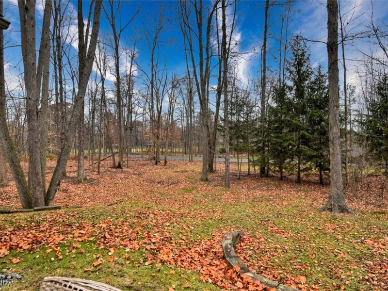 682 Arbor Way, Aurora, OH 44202 Photo 38