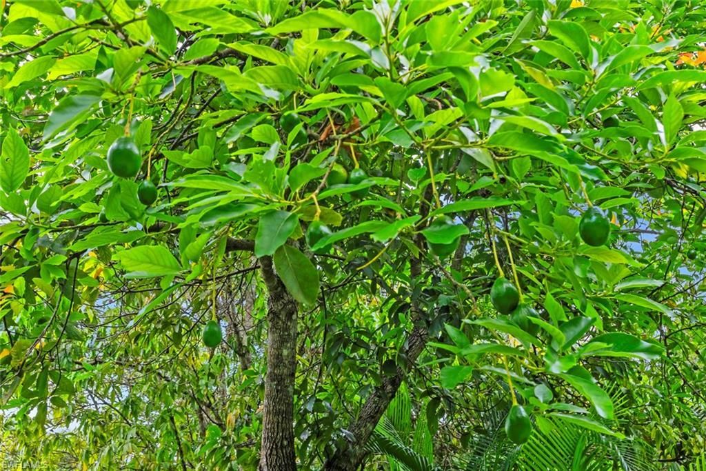 5730 Golden Gate Pkwy, Naples, FL 34116 Photo