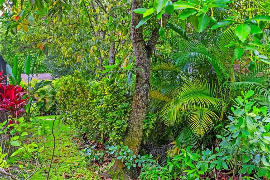 5730 Golden Gate Pkwy, Naples, FL 34116 Photo