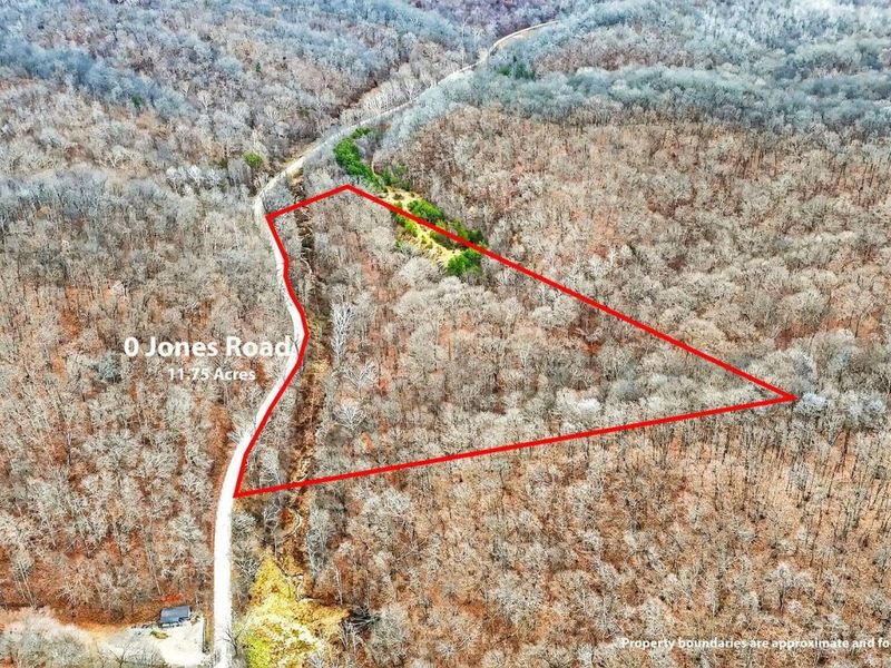 0 Jones Road, Vinton, OH 45686 Photo 2