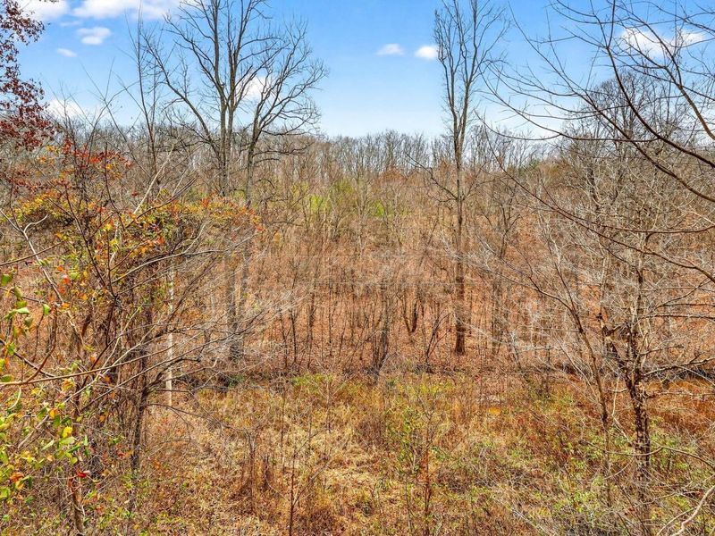 0 Jones Road, Vinton, OH 45686 Photo 3