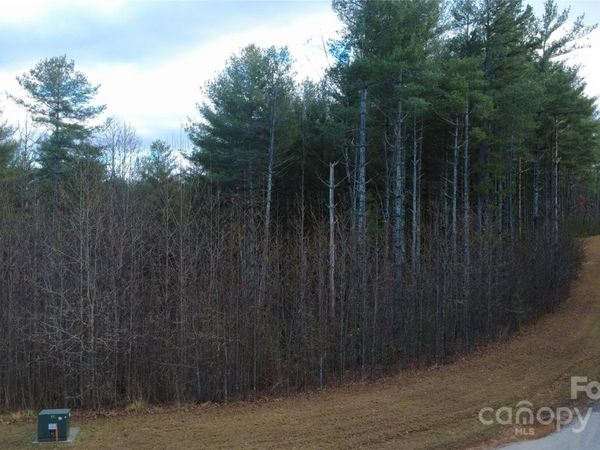 597 Peninsula Reserve Road, Nebo, NC 28761