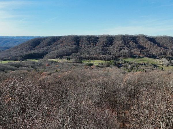 CHARLIE BIRD DR, HOT SPRINGS, VA 24445